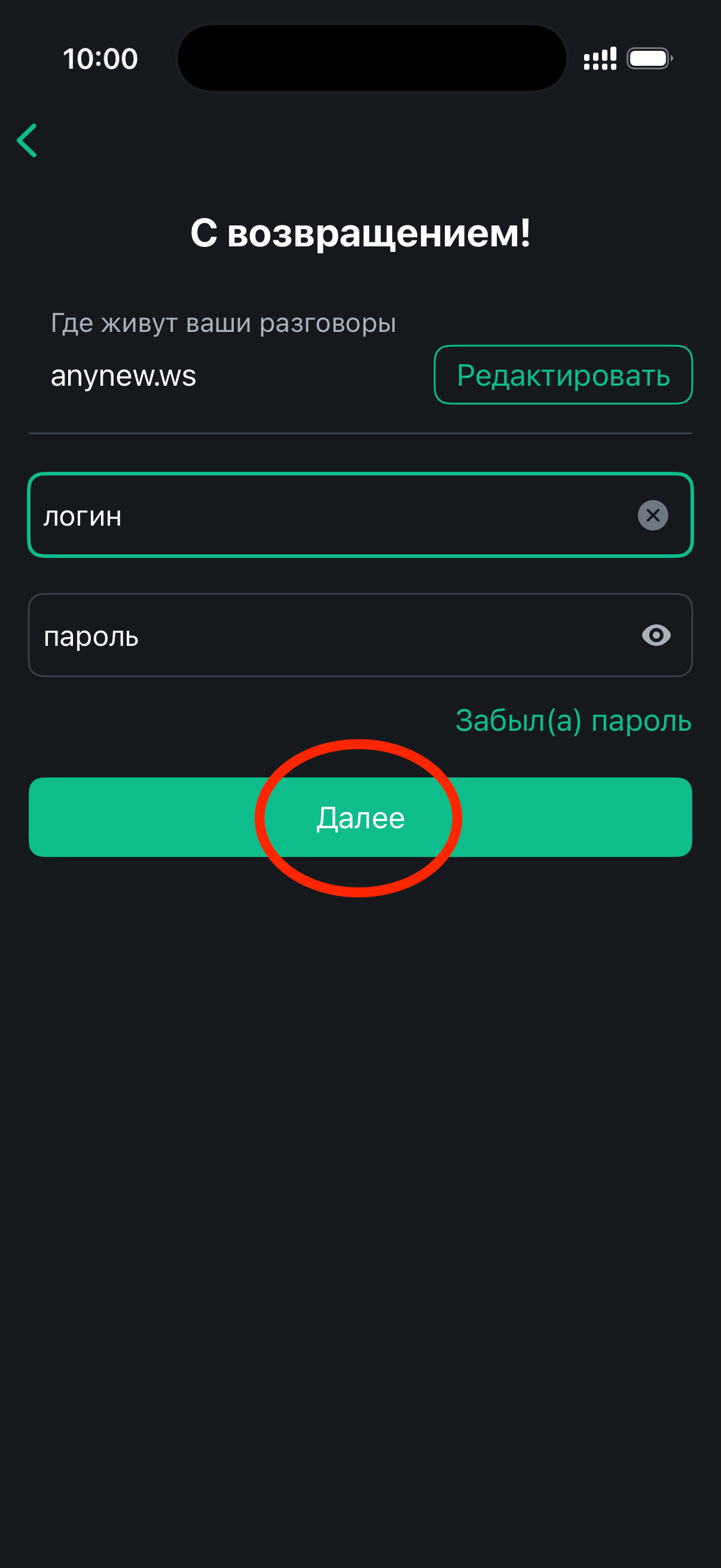Шаг 4 — ввод логина и пароля